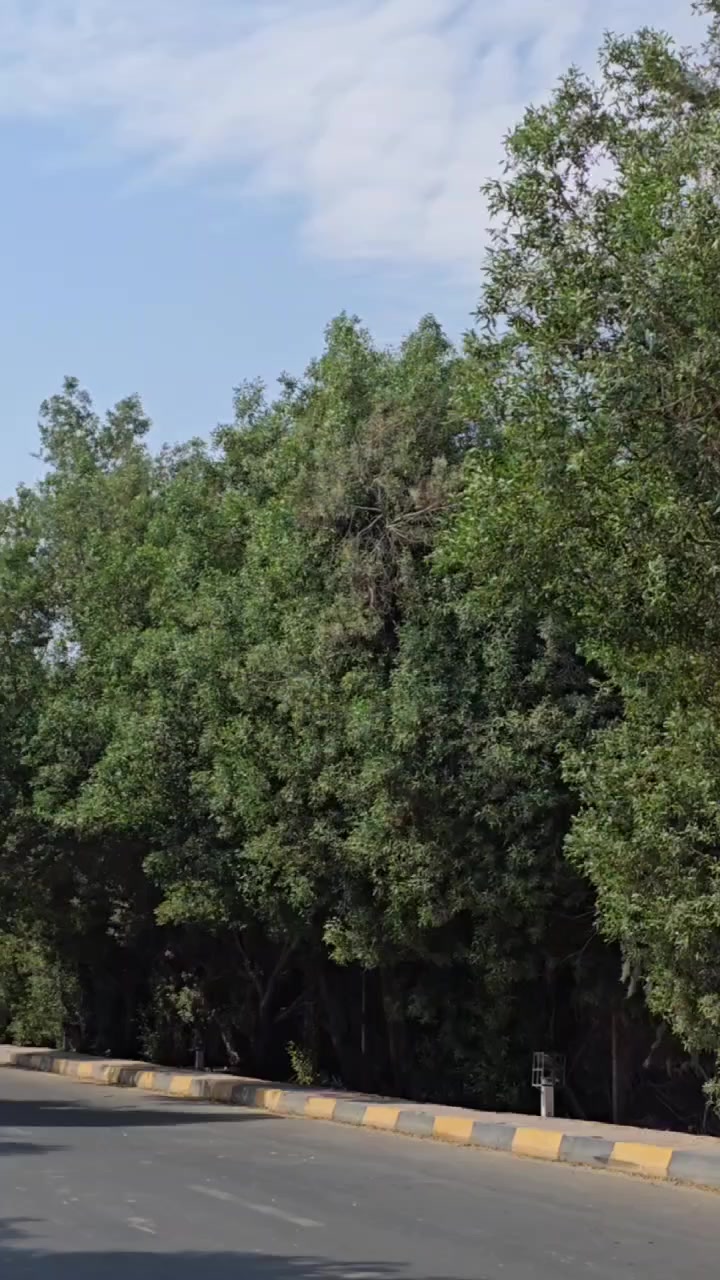 سلام عليكم
هايلوكس 2020
محرك نضيف 4000
 V6 بصمه
 السياره غنيه عن التعريف
مكان السياره نجف 
ضربتها موجوده بل سونار 
سعر السياره بلاش 
$260
للستفسار ***********
