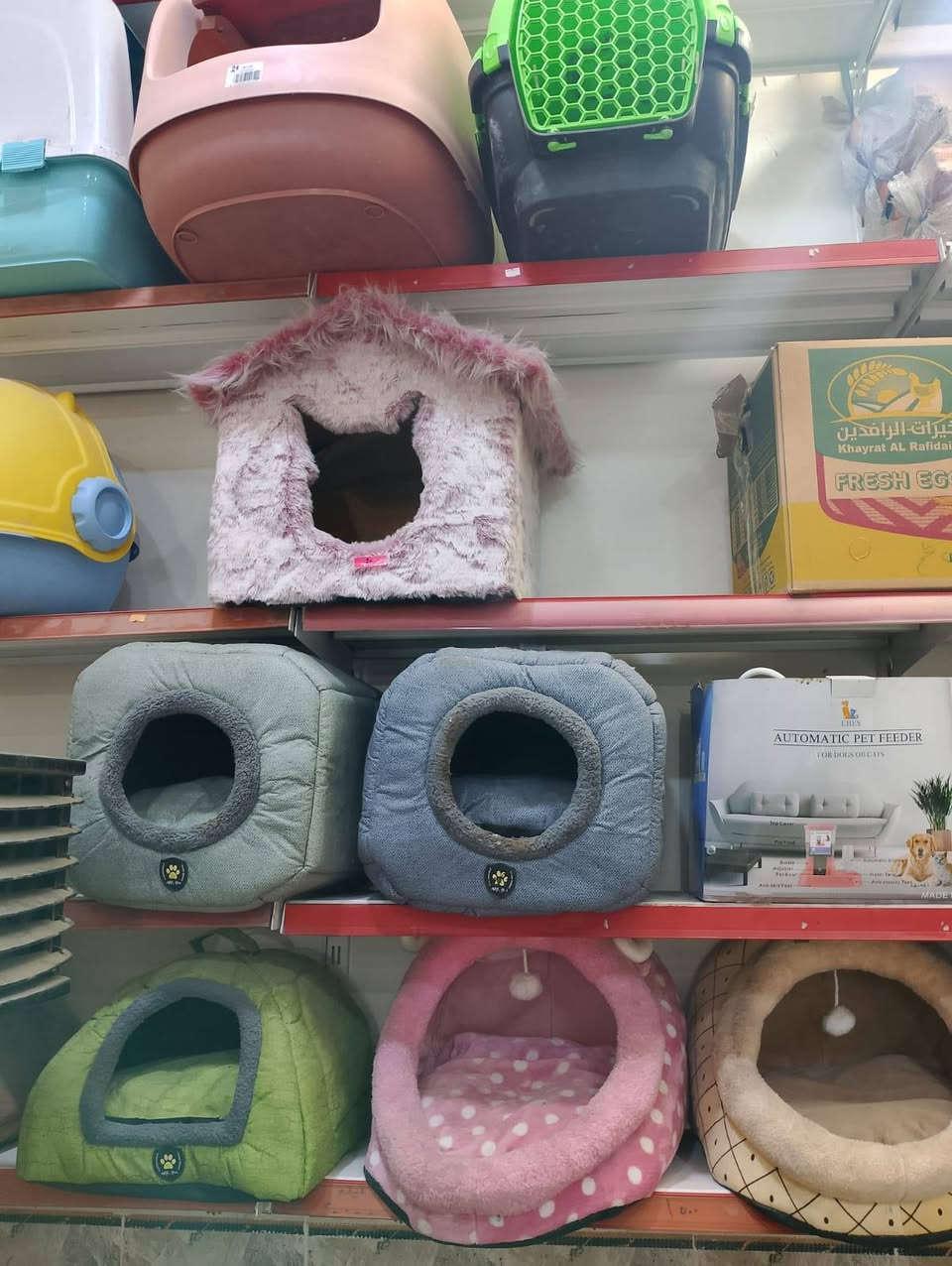 كل ما يحتاجه المربي موجود في عيادتنا العنوان كركوك الواسطي شارع النخيل قرب مشويات  عيادة الحكمة البيطرية


**إذا كنت صاحب هذا الإعلان وتريد حذفه لأي سبب، رجاءا أرسل رسالة إلى الدعم الفني**