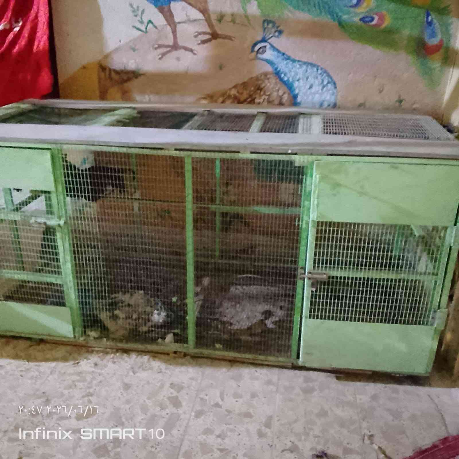 مكلف في النشر
السعر 95الف 
قياس 2x120


**إذا كنت صاحب هذا الإعلان وتريد حذفه لأي سبب، رجاءا أرسل رسالة إلى الدعم الفني**