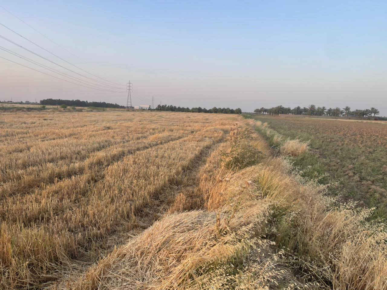 📢 عرض اليوم المميز 📢

قطعة أرض للبيع للبيع 🌿🏡

📍 الموقع: الرمادي - ناحية اليرموك
مقابيل مدرسة الخوارزمي الأهلية

📐 المساحة: ٦ دونم
📄 الجنس: طابو زراعي سند ٢٥ تحويل مباشر

✅ الأرض صالحة للزراعة
✅ تصلح للسكن والاستقرار
✅ مناسبة لأي مشروع استثماري
✅ قريبة من جميع الخدمات
✅ منطقة أمانة وهادئة ومريحة للسكن
✅ سهولة البيع، تباع كاملة أو حسب الطلب

إذا تبحث عن الراحة النفسية والأمان ومستقبل مضمون فهذا العرض يفيدك 👍

📞 مكتب العسافي للخدمات العقارية
📍 الرمادي - ناحية اليرموك قرب بناية الناحية الفرع الأول

☎️ *********** واتساب
☎️ *********** واتساب

#العسافي_للخدمات_العقارية
#عقارات
#الرمادي
#الأنبار
#ناحية_اليرموك
#اراضي_للبيع
#ارض_للبيع
#طابو_زراعي
#سند25
#تحويل_مباشر
#استثمار
#اراضي_الرمادي
#عقارات_الأنبار
#مشاريع_استثمارية
#الزراعة
#سكن
#استقرار
#بيع_وشراء
#عروض_عقارية
#مكتب_العسافي
#اليرموك
#اراضي_زراعية
#عقار
#بيت_احلامك
#فرصة_استثمار
#عروض_اليوم
