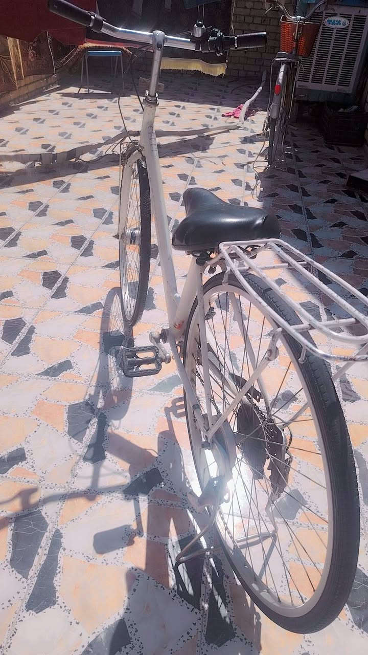 2/بايسكلات /البرتقالي 30/الابيض35 عوزهن بس تايرات


**إذا كنت صاحب هذا الإعلان وتريد حذفه لأي سبب، رجاءا أرسل رسالة إلى الدعم الفني**