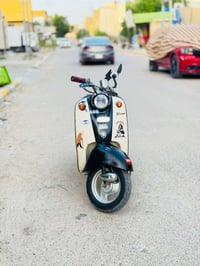 مصريه • بالحاوية • اوراق