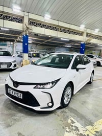 كورلا • ٢٠٢٥ • كفاله عامه