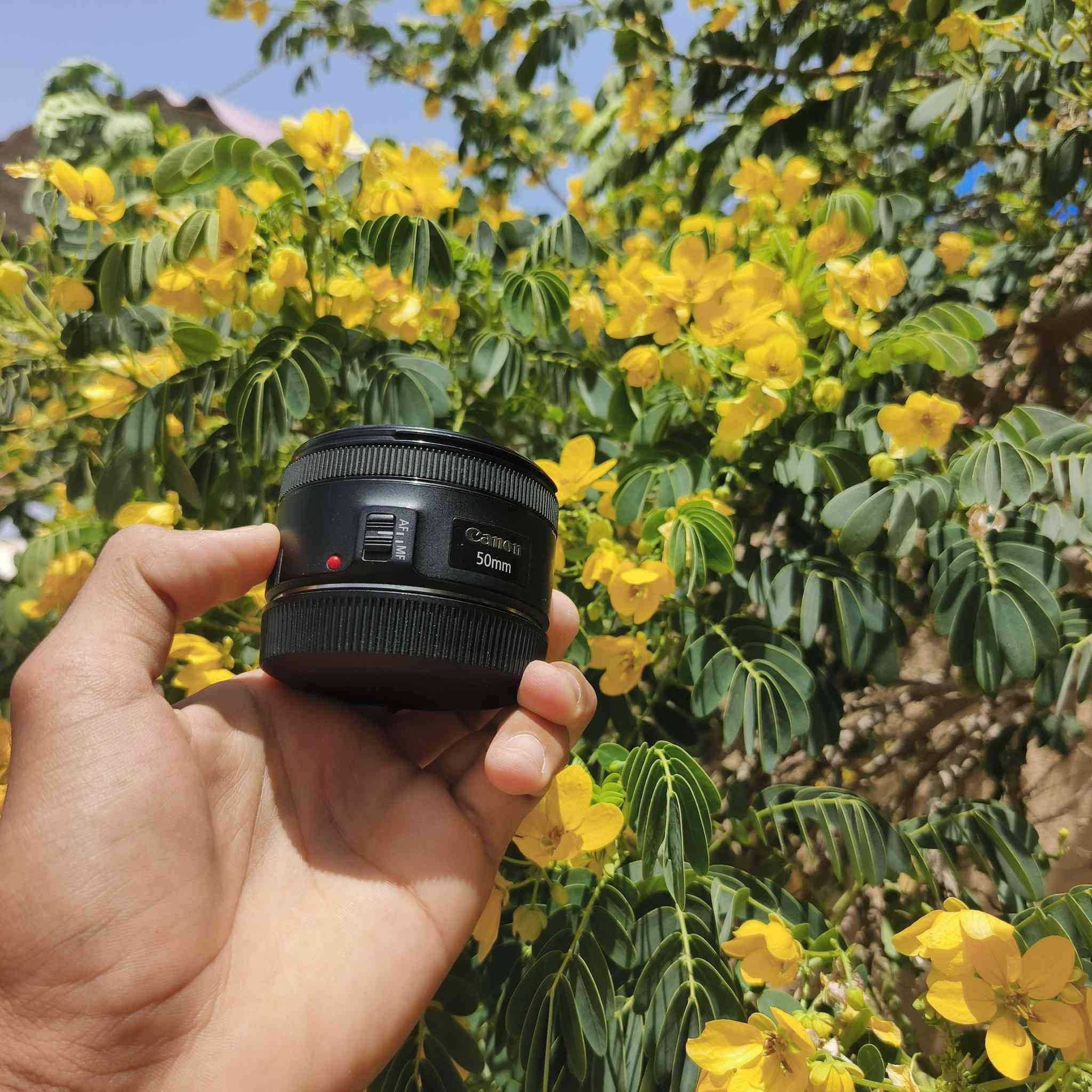 السلام عليكم
غراض للبيع 📸
1- عدسة رياضية 70/200 فتحة 2.8 إصدار الثاني
2- عدسة 85 سكما فتحة 1.4
3- عدسة 50 ملم فتحة 1.8
4- أدبتر جديد بالكارتونة
5- شاحنة وبطاريات للبيع
والي ياخذهن كلهن إله عرض خاص 🔥
📞 رقم الاتصال / آسيا وواتساب:
***********
***********
الأسعار خاص
