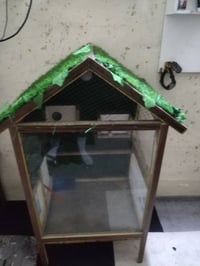 قفص • الموصل جانب الايسر • حي انتصار