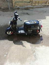 بوليس • رأسه العبيدي • حك الجيه