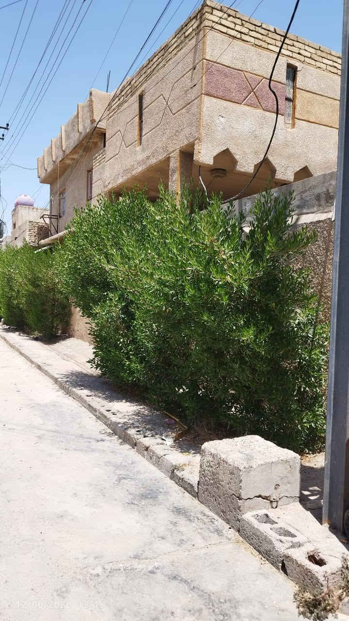 السلام عليكم بيت للبيع 200 متر ركن اربع غرف نوم وستقبال ومطبخ وحولي وصحيات العنوان الحصوه الولى مقابيل جامع البنمر الستفسار ***********
