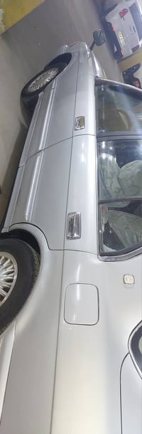 ارنب • بصرة الزبير • كفالة