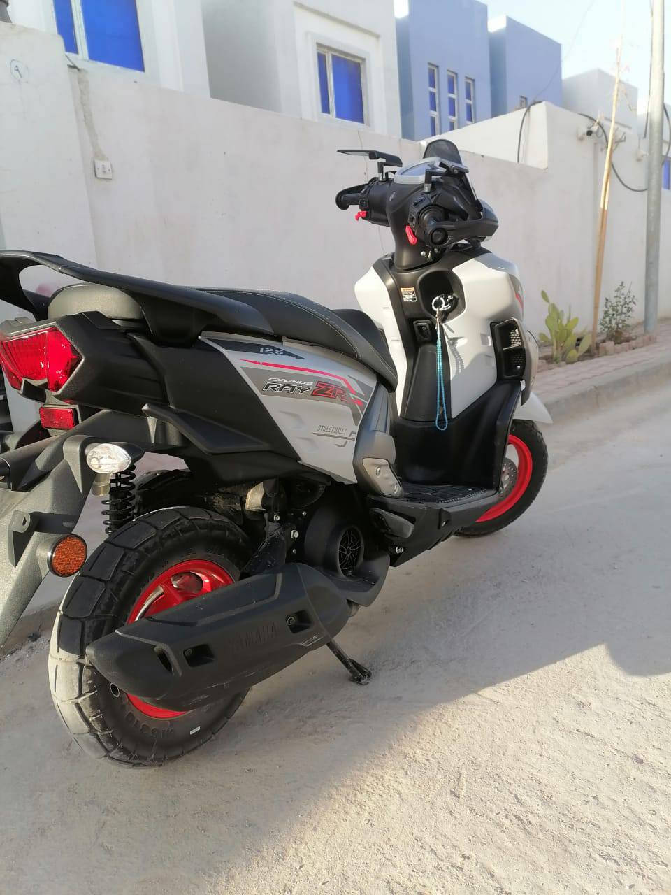 ZRموديل25 
مراوس فقط 
بلون زيتوني دراجه بل كارتون ماشيه 1300
***********
