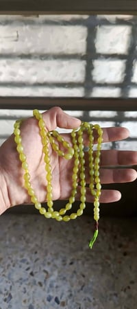 باي زهر افغاني طبيعي للبيع قيم و اخذ تواصل واتساب 07700578844