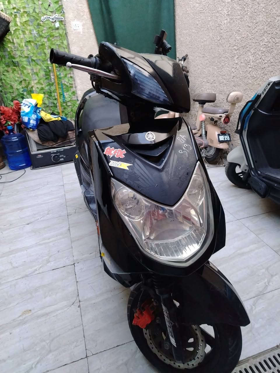 سلام عليكم سكنس فحل كوري موديل 2011 ام الطلاعات كفاله من كلشي فيترك وياك وتعال كلب وفحص كلش حلوه
العنوان بلديات شارع المصرف
الرقم ***********
السعر 800 وبيها مجال للشراي
