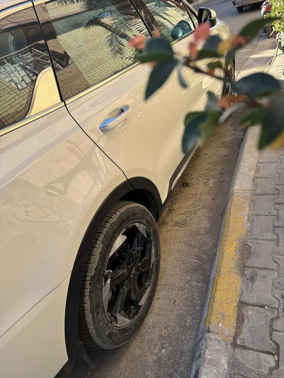 بيع مستعجل 
سورنتو موديل 2024
صندوك كهرباء
كرسي كهرباء 
شاشه جبيره متصله
برادت خليفيه
بصمه 
كير ماوس
اناره داخليه
6سلندر 
سايد بريك دكمه
شاحنه وير ليس
3 قطع تبريد 
ماشيه 56الف 
بيه ضربه صغيره باب خلفي 
سعره 298$
ستفسار ***********
