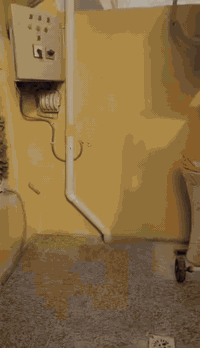 مشتمل • ٥٦م • واجهة٤م