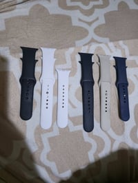 سيورة ابل اصلي للبيع اليريدهن يتفضل خاص  07713883707