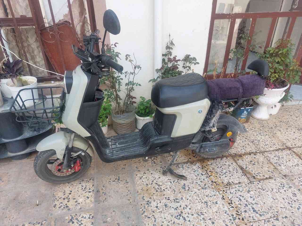 دراجه شحن موديل 2025 السعر300


**إذا كنت صاحب هذا الإعلان وتريد حذفه لأي سبب، رجاءا أرسل رسالة إلى الدعم الفني**