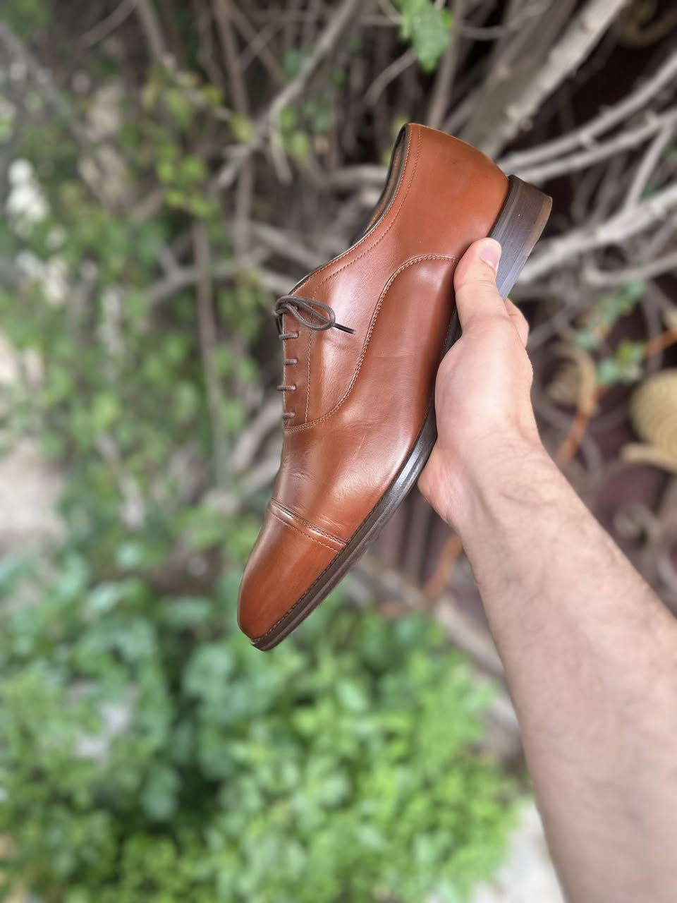 اكسفورد جونستون قياس 45 و نص - 46
***********
