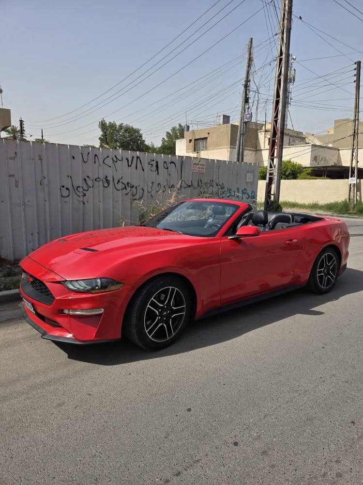 لسلام عليكم للبيع موستنك بريميوم كشف ٢٠٢٢ ايكو ٢٣٠٠ تيربو ٤ سلندر فول مواصفات  سياره جديده ماشيه ٤٥ الف ميل بدون نقص حادث بنيد وجاملغ السايق ومصبوغ وياها الباب والجاملغ صفحه السايق يعني ٤ قطع صبغ  السعر ١٦٢ وبيها مجال مكاني المنصور للاتصال *********** بغداد, العراق
