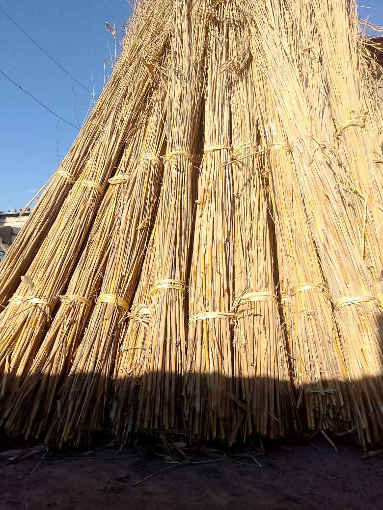 سلام عليكم يتوفر شباب وتباره ومناسبه ***********
