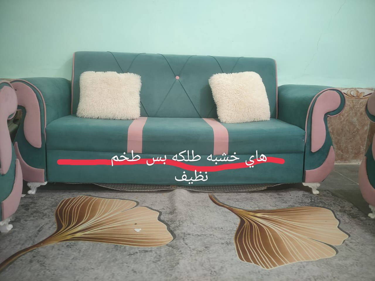 طخم للبيع سعر 200
وبي مجال
بصالحيه
***********
