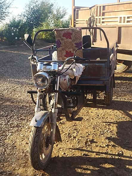 ستوته كامله مكفوله شغاله
سعر 850
رقم الهاتف ***********
