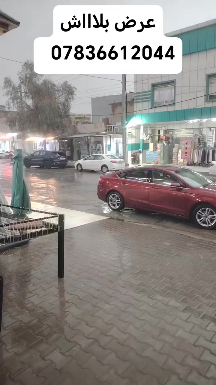 @أبرز المعجبين
