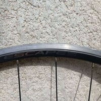 جاينت سكيب • حجم ٢٨ • ٨ سبيد