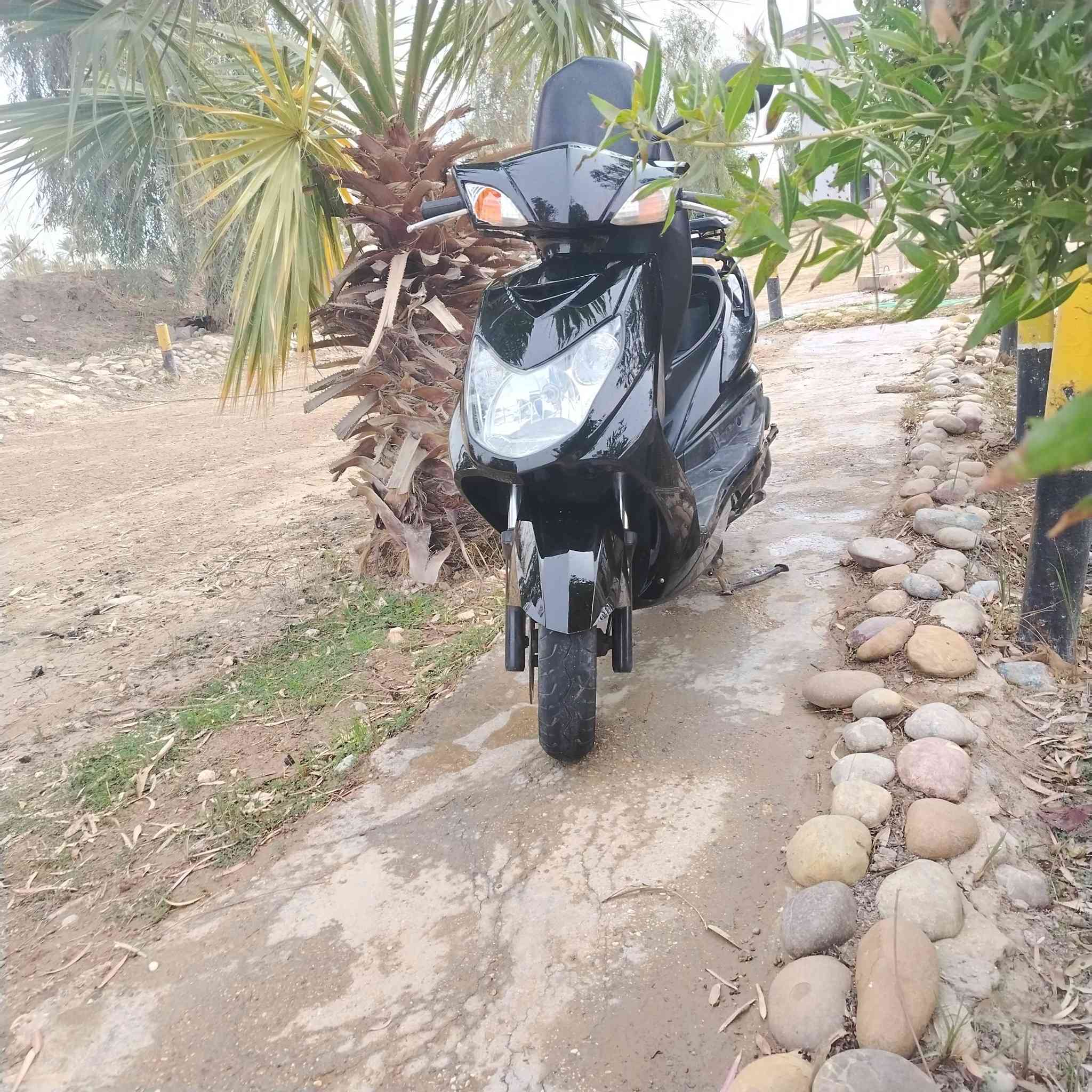 سكنس فحل ياباني محرك مامفتوح  علفحص تاخذنوزل فيت بم سكليترخطين ستان حساس اوراق كامله  وحته مكمركه دراجه تريدترقمها تريدتعوفها عادي سعرمليون و١٥٠بيه مجال حك جيه خواتها برمبه مليون و800رقمي ***********مكاني لطيفيه حي السلام
