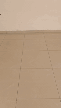 خلفه بورسلان شغل درجه اولى
البصرة ***********
