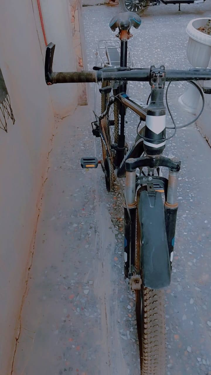 سلام عليكم
بايسكل للبيع


**إذا كنت صاحب هذا الإعلان وتريد حذفه لأي سبب، رجاءا أرسل رسالة إلى الدعم الفني**