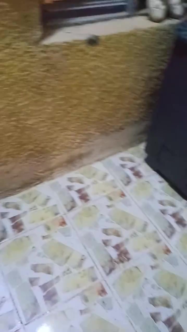 السلام عليكم بيت بالسده القديمه 50 متر ثلاث طوابق ثلاث غرف فوق والجوام صورته اني ثلاث حمام صحيات


**إذا كنت صاحب هذا الإعلان وتريد حذفه لأي سبب، رجاءا أرسل رسالة إلى الدعم الفني**