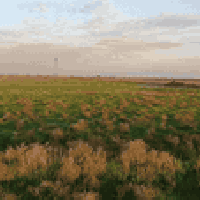 ٣٢ دونم • طريق سيد محمد عكيل • قرب حسينية الفواطم