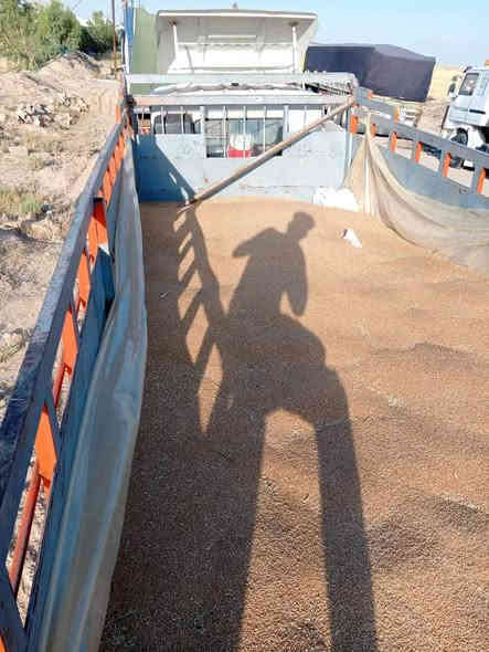 هينو لنقل الحنطه والكيمياوي 
الرقم ***********
