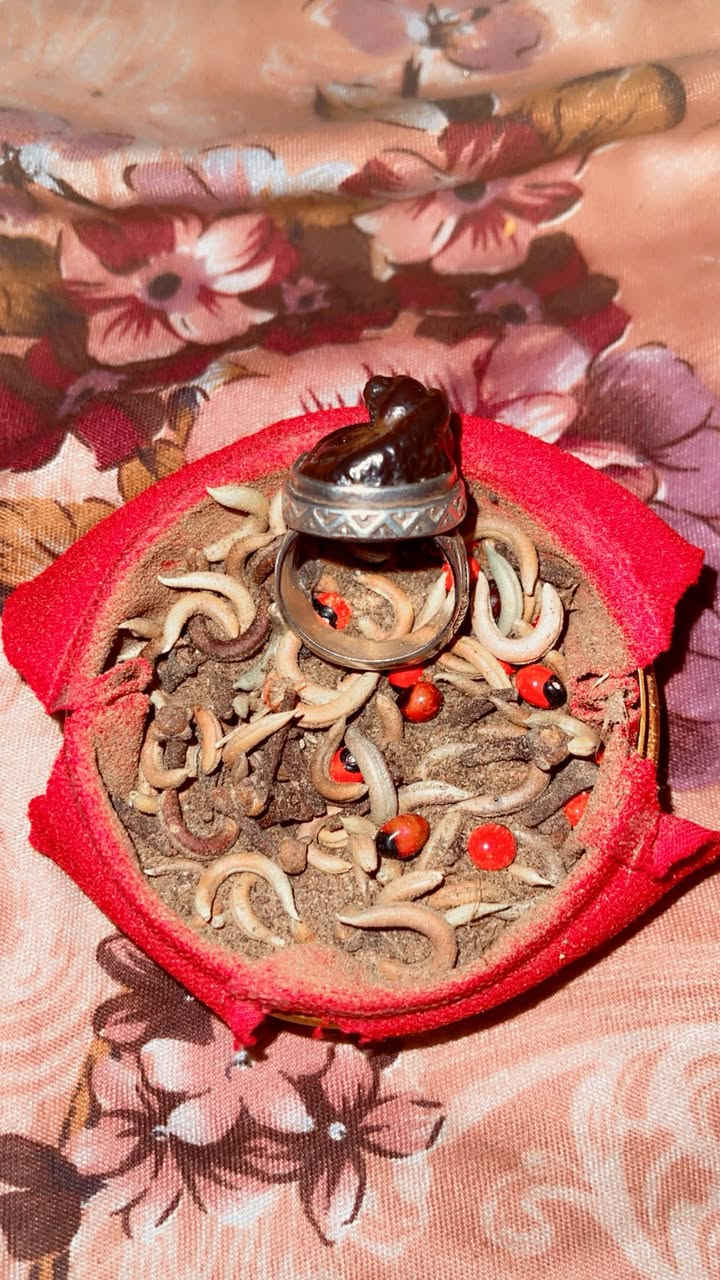 لا اجذب عليكم ولا اكول مال مزامط ولاهم يحزنون.  بس يشهد الله عليه كل ما البسه اتمرض.  وبي طاقه قويه 

هبهاب قديم مرسوم. كوبرا 🐍 فضه ثقيله 
اريد اراوسه بحجر يماني او داووي قديم


**إذا كنت صاحب هذا الإعلان وتريد حذفه لأي سبب، رجاءا أرسل رسالة إلى الدعم الفني**