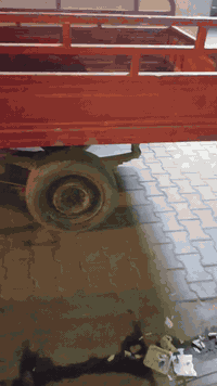 السلام عليكم متاح ستوته نيفان فرس  المكان البصره باقي التفاصيل يوجد واتساب ***********
