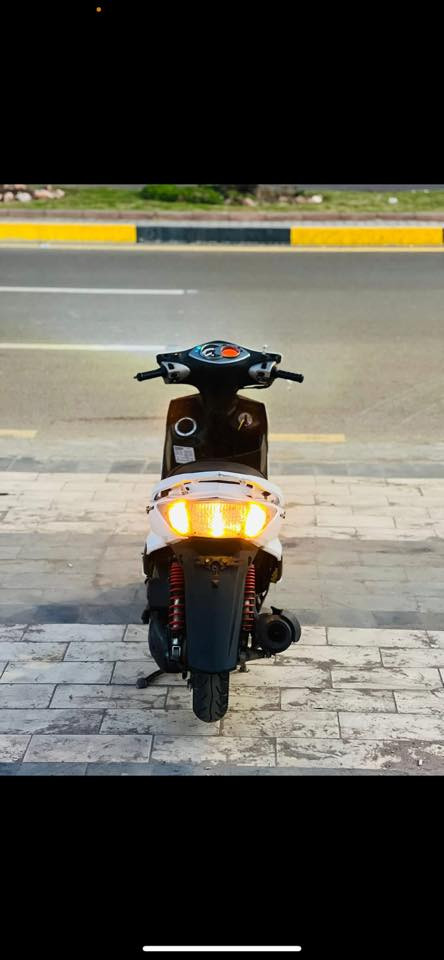 سكنس فحل نوزل سعر 800تواصل ***********
