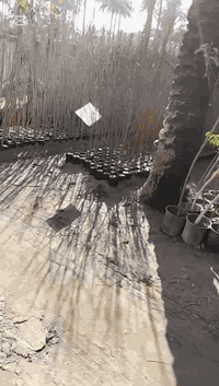 الاتصال***********
