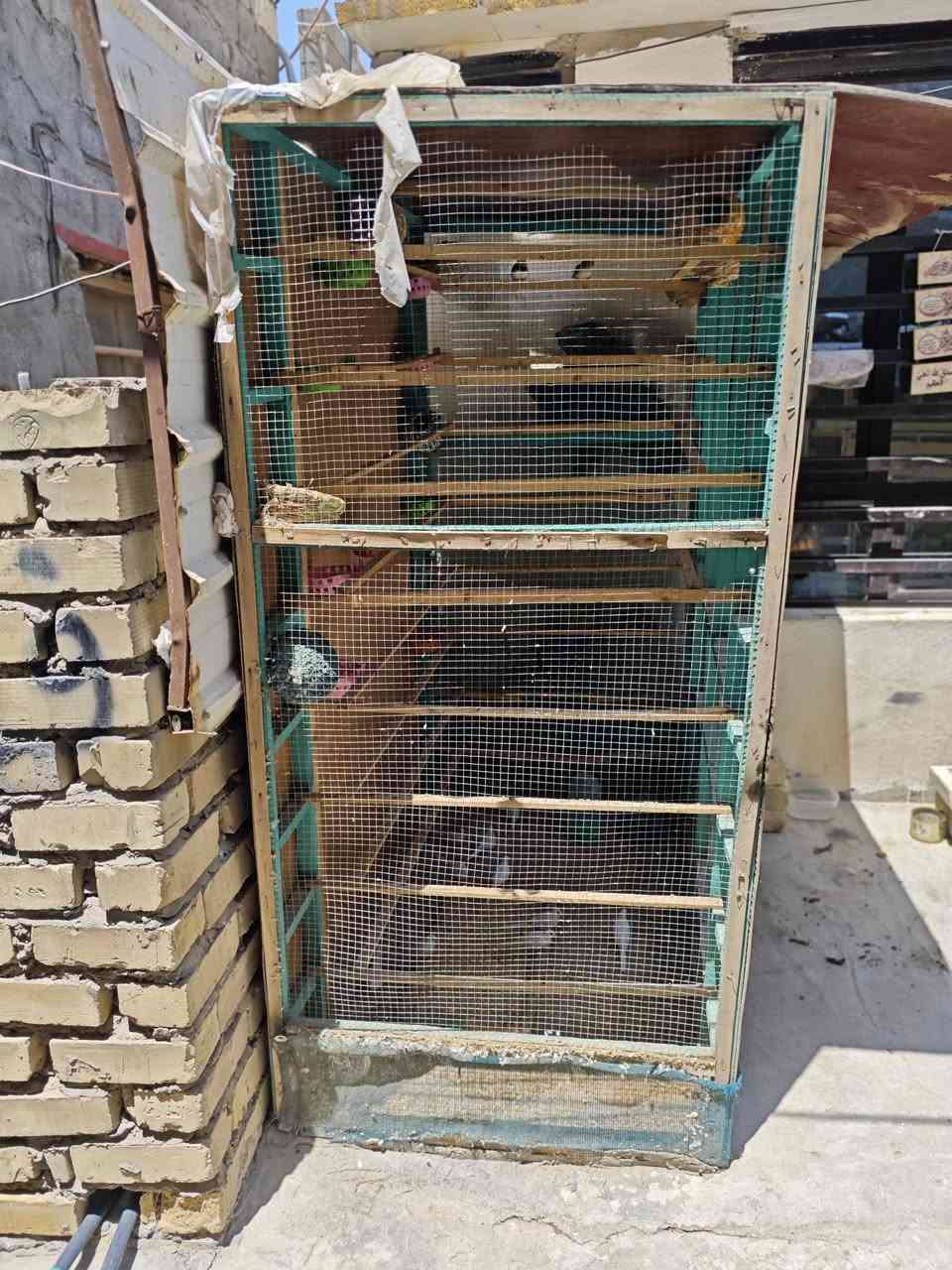 سلام عليكم قفص لبيع
قفص نضيف وبعده جديد دبل ترايش ودبل مرادي
ارتفاع 180 واجهيه 160عرض 90
السعر..75وبي مجال
مكاني بغداد دوره


**إذا كنت صاحب هذا الإعلان وتريد حذفه لأي سبب، رجاءا أرسل رسالة إلى الدعم الفني**