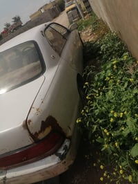 ماجستا بطه رقم كربلاء انكليزي اصولي بدون كص بدون نقل جثه مكفوله تحتاج ...