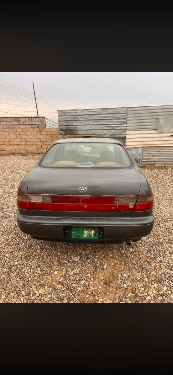 كورلا فرخ بطه
رقم نينوئ 
مصبوغه عام جمالية
السعر ٢٥
***********
***********
