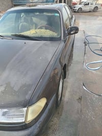 سوناتا 2 • ١٩٩٤ • ديالى بهرز