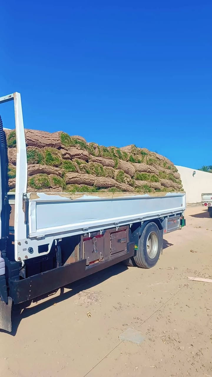 الهم صًلّيےّ عله محمد والي محمد متوفر ثيل هندي درجه اوله توصيل متوفر ماعلك بس تحجز ويصڵـڱ الباب البيت الاتصال عله الرقم التالي ‏‪0786 838 9957‬‏
