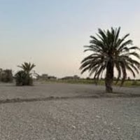 دوانم زراعية للبيع. ،،تقع نهاية 🔚 متطقة الشعب ،وسبع قصور ،،سند بغداد ،...