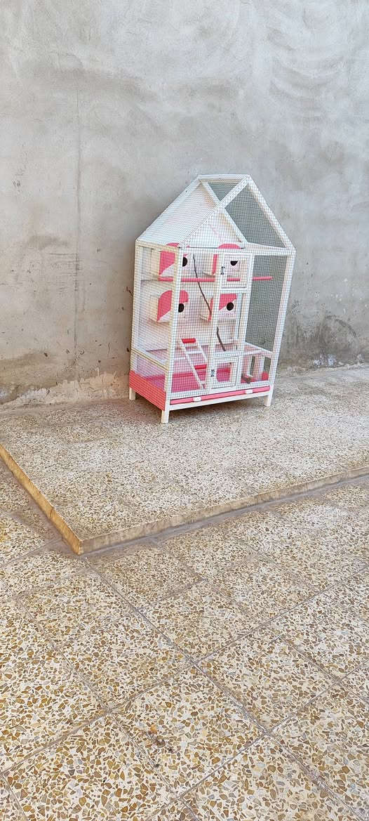 متاح قفص ارتفاع متر 45 واجهيه 87 عمق 51


**إذا كنت صاحب هذا الإعلان وتريد حذفه لأي سبب، رجاءا أرسل رسالة إلى الدعم الفني**