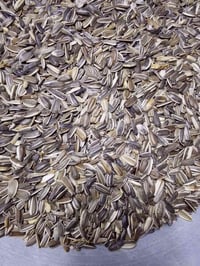 حب شمس للبيع  السعر الكيلو 2500 07718529628