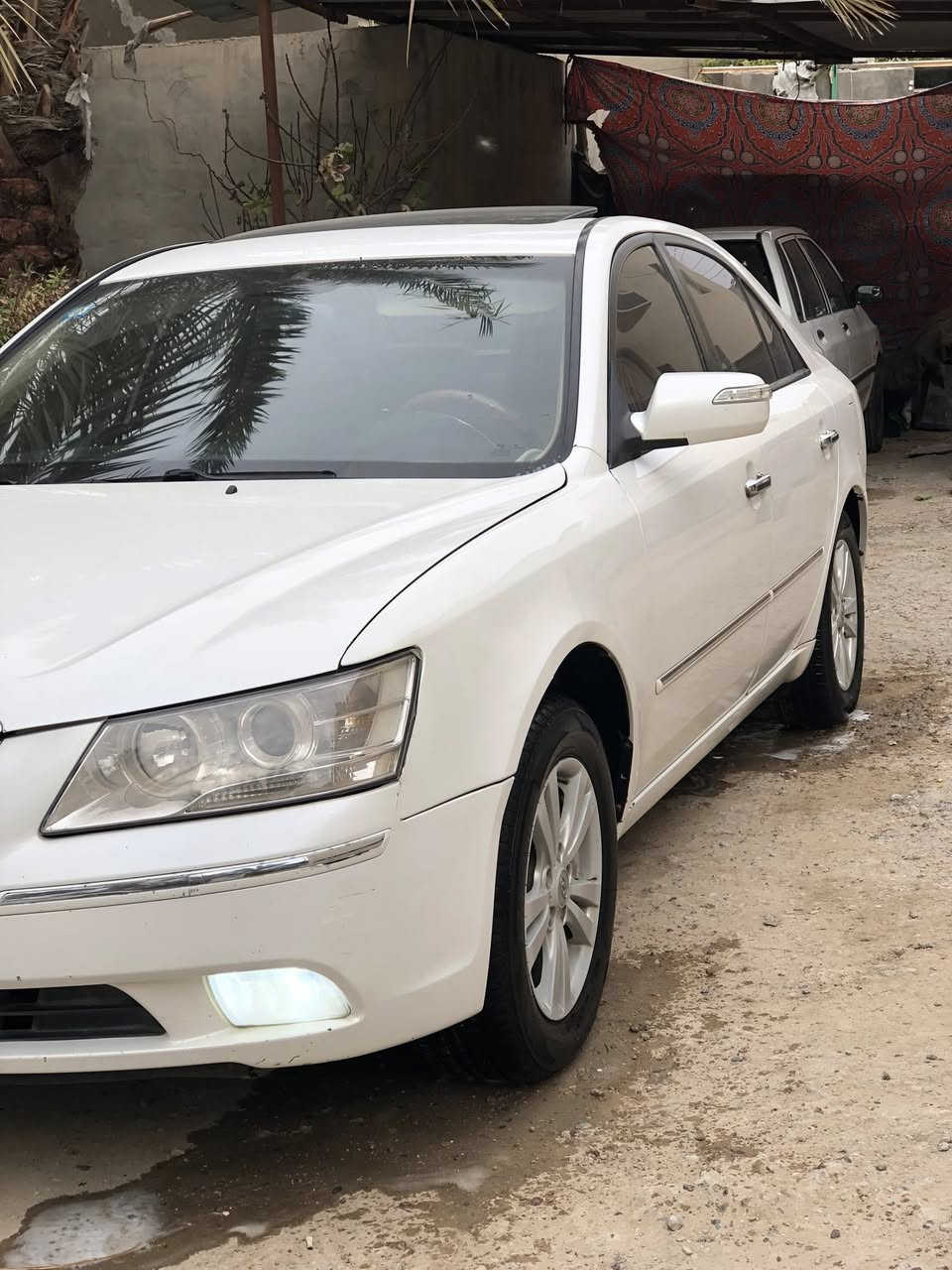 سوناتا خليجي 2010 فول مواصفات فتحه أشاير بالمري تحكم ستيرن محرك 2400 دوش لا تبخير ولا تنقيص سياره جاهزه كير محرك مكفولات تخم تاير جديد تراي وين ميعجبك بيها كلير فقط جاملغ والبنيد مكان السياره كربلاء
سنويه لل 2028 سعرها ١٢٥ وبيها مجال ***********
