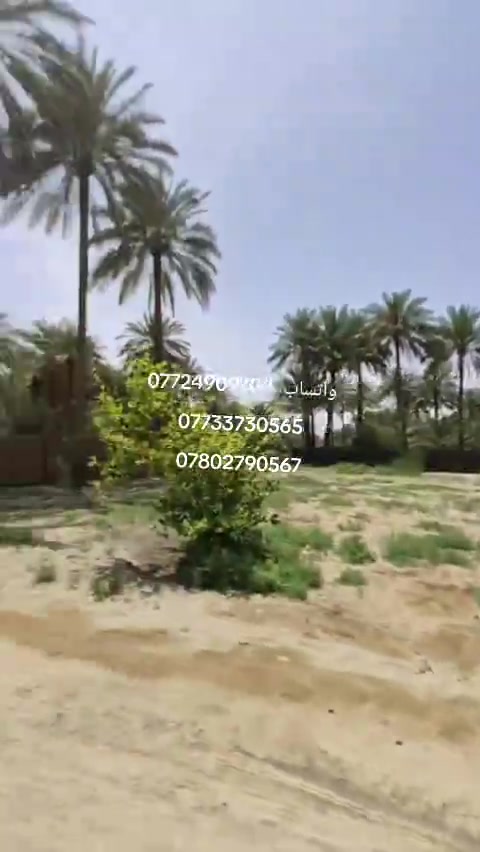 قطع ارظى مساحة 1000متر ركن اللبيع في كربلاء قرب القنطرة البيضه  بداية شارع الحافظ منطقة اليوسفيه قرب مشتل العتبه  طابو زراعي قرار محكمة سند 25 خدمات كامله مثل ماواظح بالتصوير الاستفسار اتصل واتساب  *********** *********** ***********

