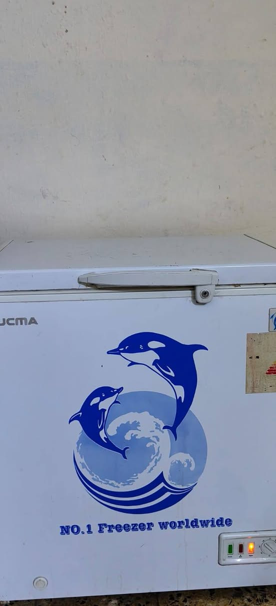 سلام عليكم مجمدة للبيع جمد فول نضيفة 90 بل مية مداخلة تصليح اب 175 مكاني شارع المعهد


**إذا كنت صاحب هذا الإعلان وتريد حذفه لأي سبب، رجاءا أرسل رسالة إلى الدعم الفني**