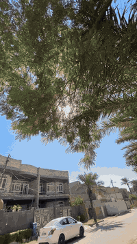 سلام عليكم شباب سكنس جبلي بلادي كفاله عامه تزوي هواي بيهه مكان بغداد الزعفرانية موجود خاص وهاذه رقمي ***********
