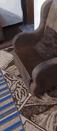 ((مكلف بلنشر)) تخم قنفاات  نضيف 10 مقاعد   تخم وضعيته جيده جدا وزن ثقي...