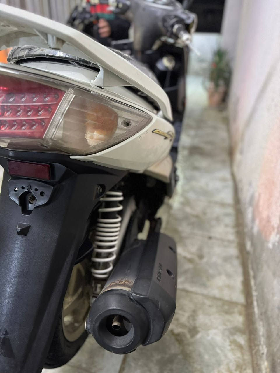 السلام عليكم
سكنس فحل طلاعات
فئة كولد اعلى فئة بل سكنس 
نوزل خطين
دراجه نضيفه ومحرك ما مفتوح عل فحص
كفرات ختم واحد 
جيب فيتر وتعال 
دراجه بلاديه ونضيفه 
السعر : 900 قفل
الرقم :***********
العنوان : البياع
